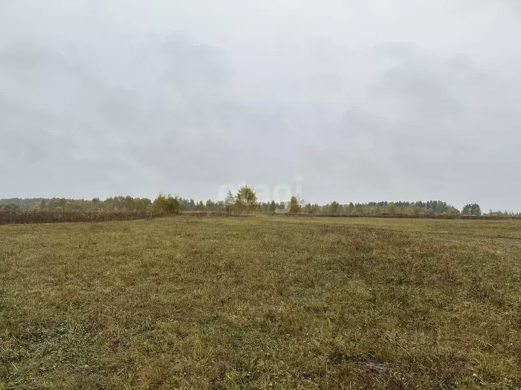 Участок в Тульская область, Ясногорский район, Иваньковское ... - Фото 0