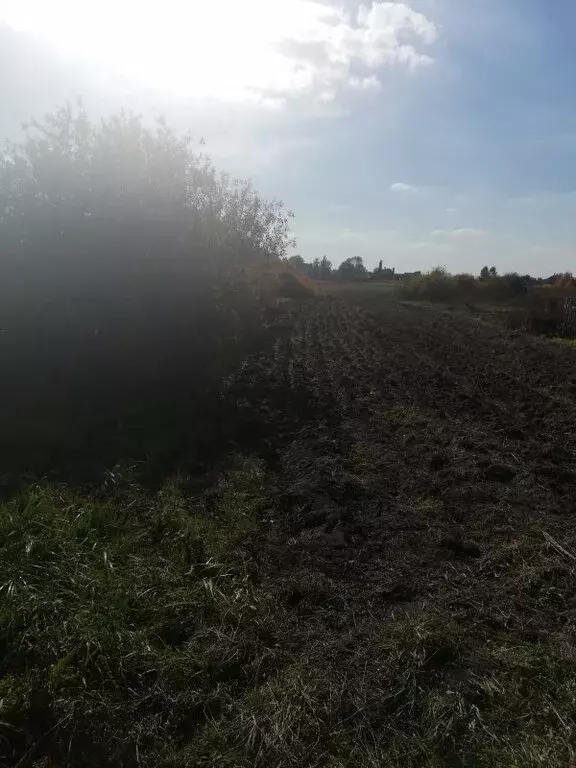 Участок в Новоусманский район, село Бабяково (16.1 м) - Фото 0