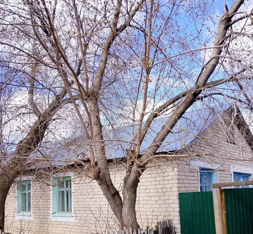 Дом в село Шаблыкино, Звёздный проезд (58.4 м) - Фото 2