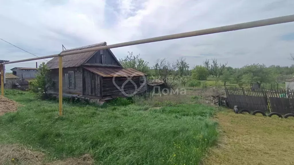 Участок в Волгоградская область, Среднеахтубинский район, Красное ... - Фото 0