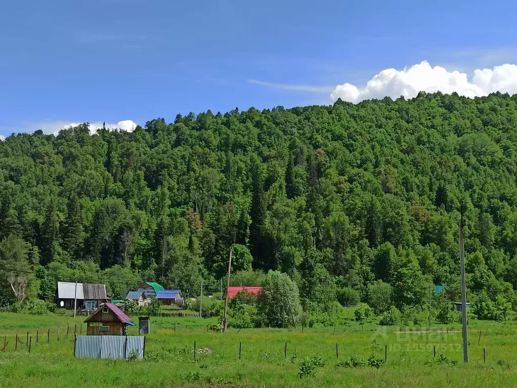 Погода в чандаре. Деревня Чандар. Деревня Чандар фото. Погода Чандар.