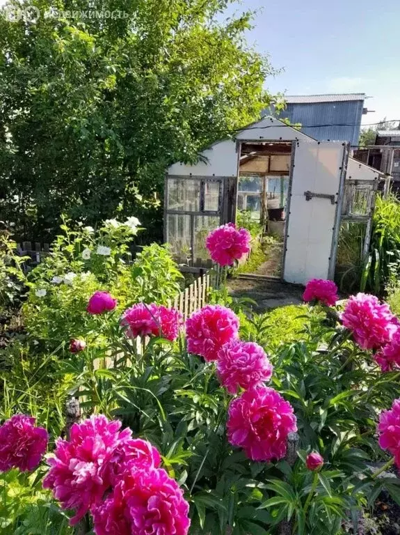 Дом в Еманжелинск, улица Пушкина (49 м) - Фото 0