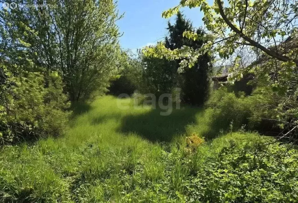 Участок в Калининград, СНТ Чайка, Черноплодный переулок (5.4 м) - Фото 1