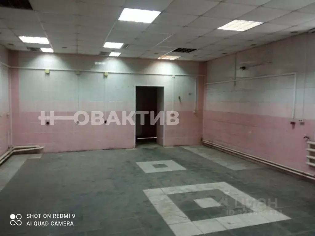 Торговая площадь в Алтайский край, с. Кулунда ул. Комсомольская, 26 ... - Фото 1