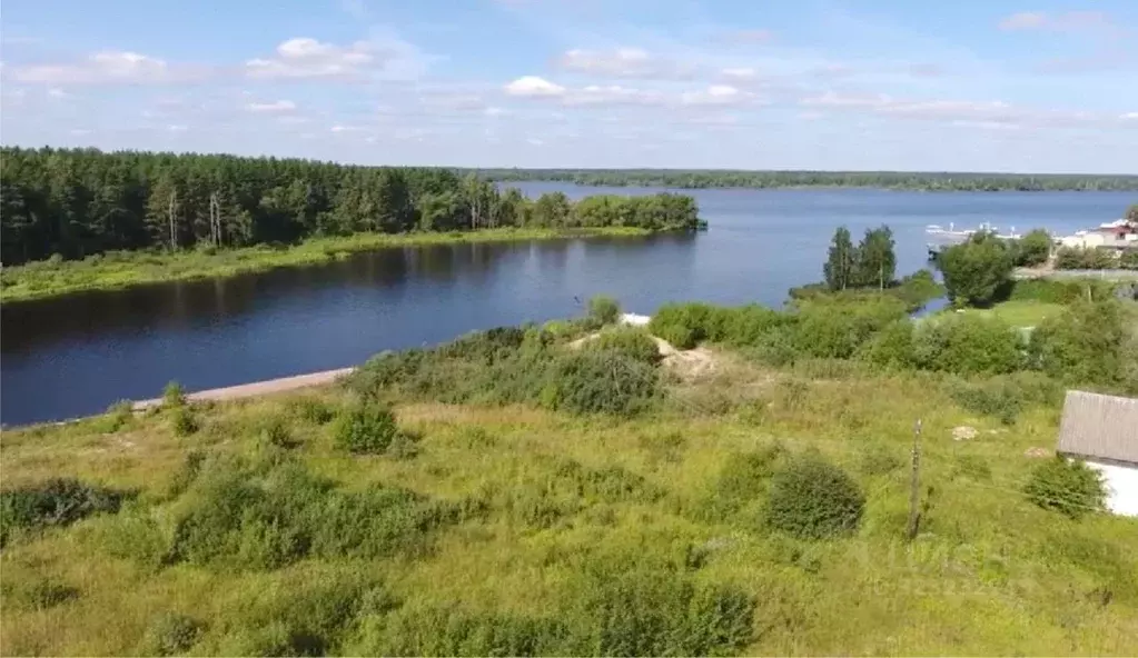 Участок в Тверская область, Конаково Зеленый бор мкр,  (2.65 сот.) - Фото 1