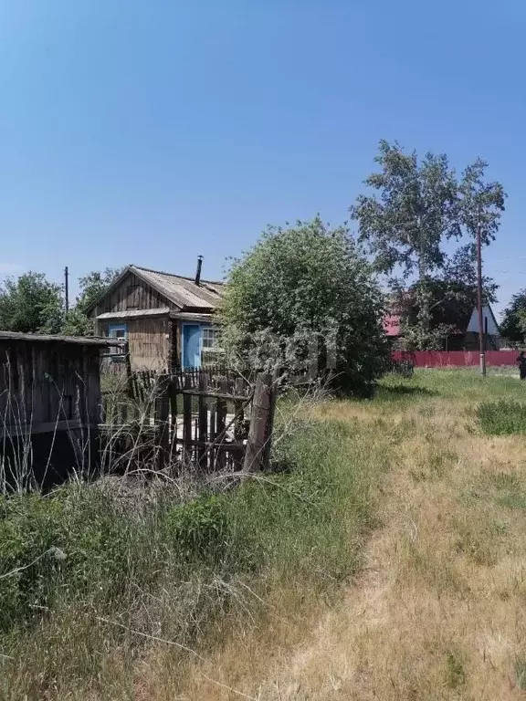 Дом в Алтайский край, Новичихинский район, Новичихинский сельсовет, с. ... - Фото 1