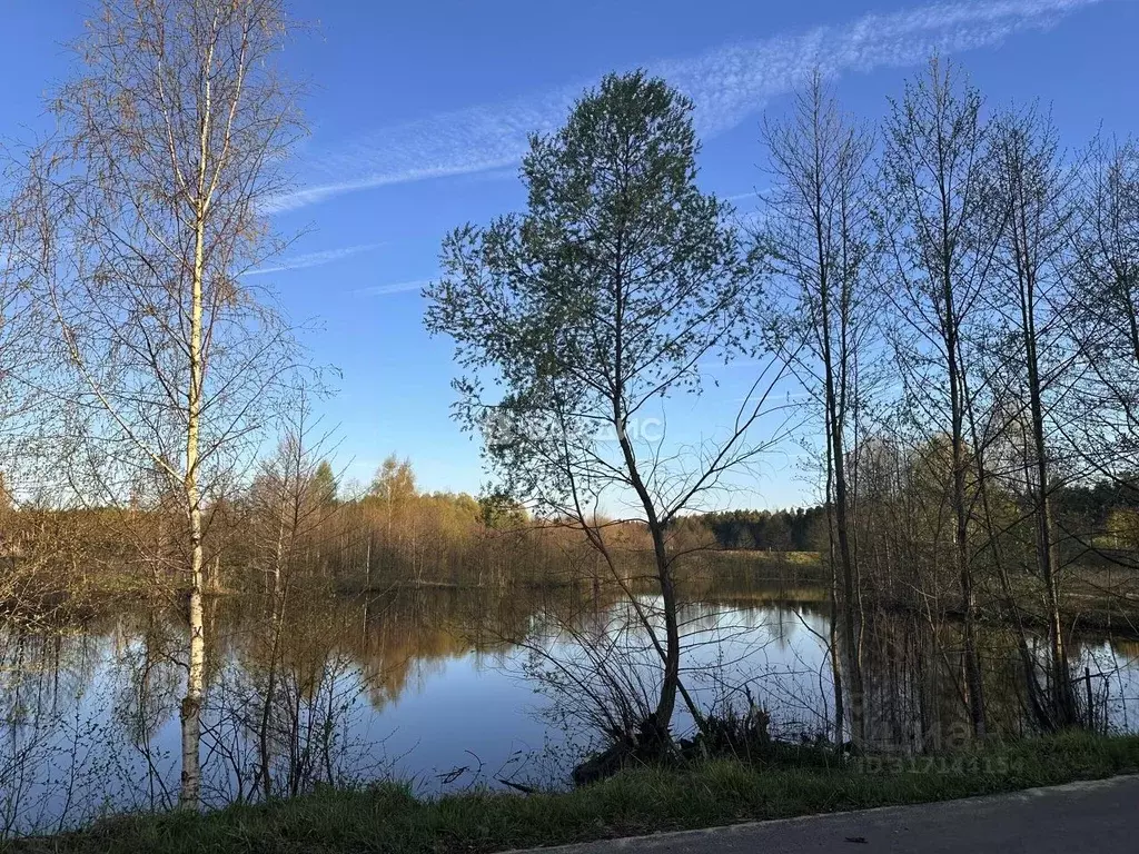 Участок в Владимирская область, Судогодский район, Вяткинское ... - Фото 1