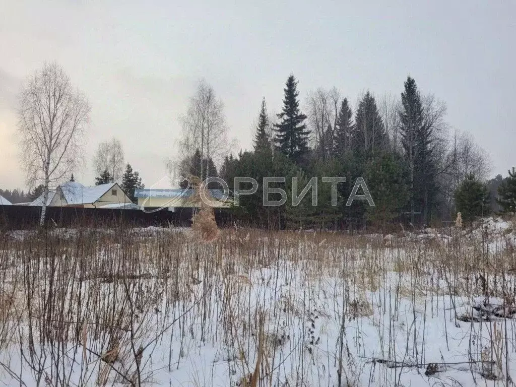 Участок в Тюменская область, Нижнетавдинский район, с. Тюнево Новая ... - Фото 0