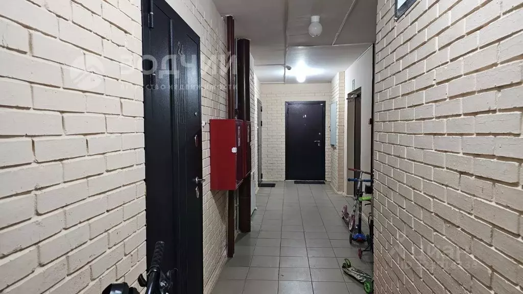 Студия Чувашия, Чебоксары ул. Композитора А.М. Токарева, 4 (27.2 м) - Фото 2