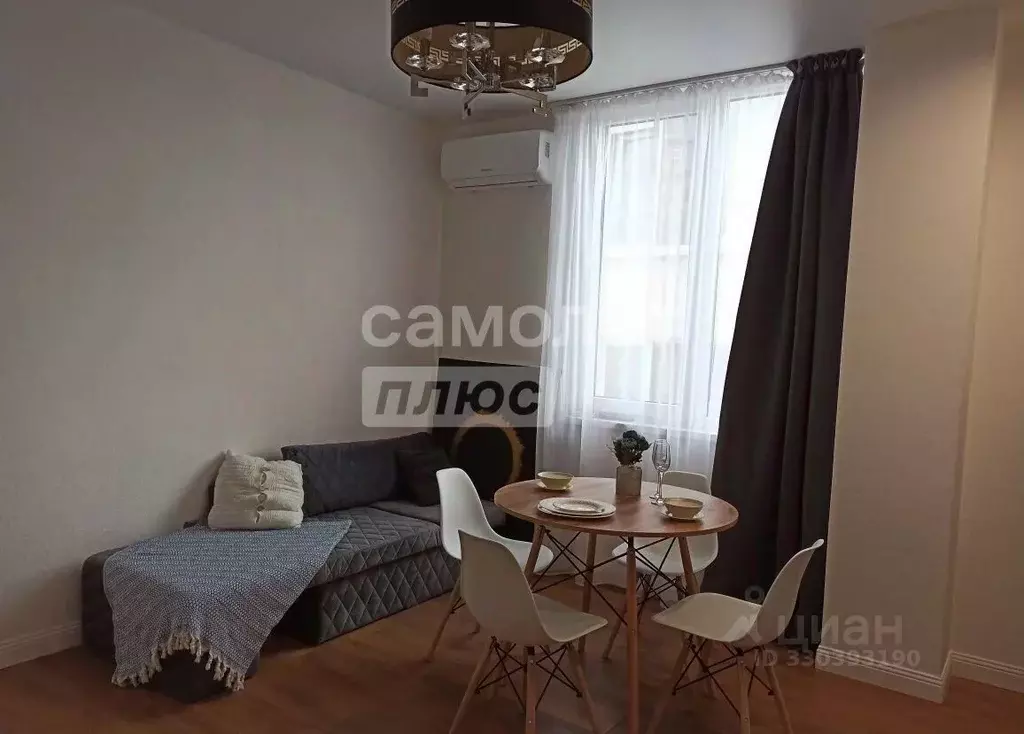 1-к кв. Краснодарский край, Сочи Светлана мкр, ул. Лысая Гора, 27/28 ... - Фото 1