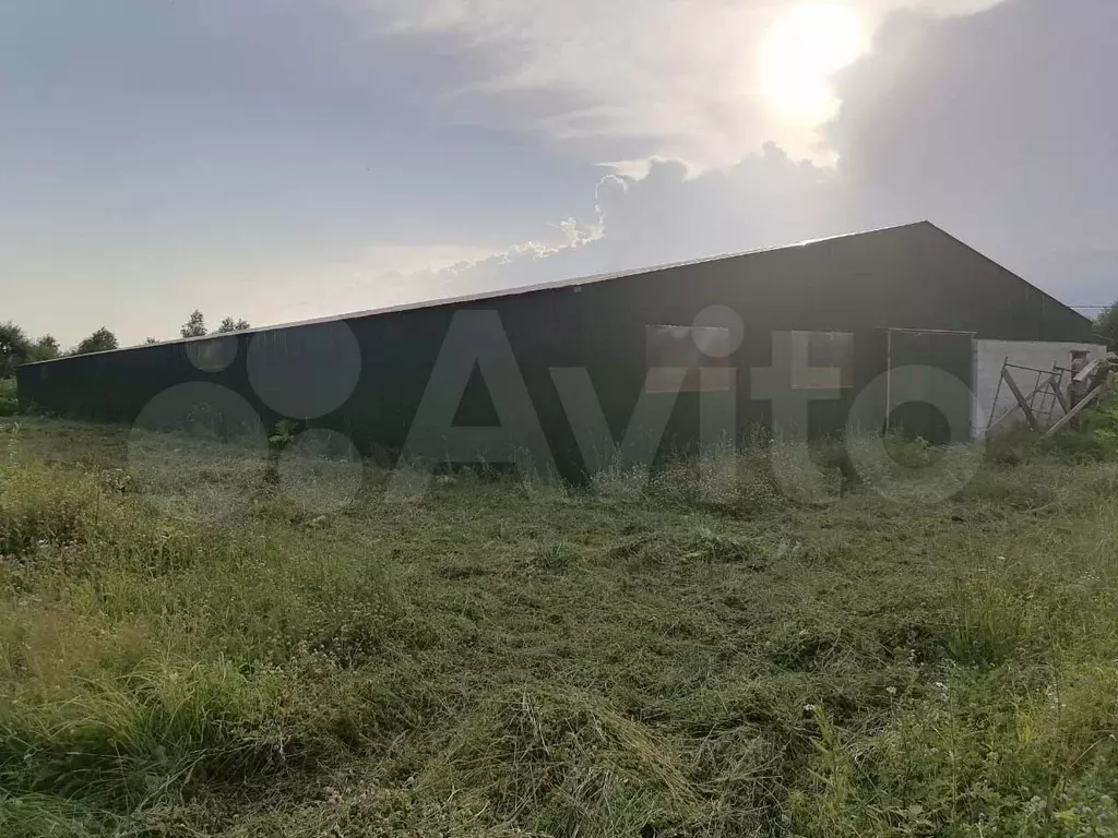 Свободного назначения, 900 м - Фото 0