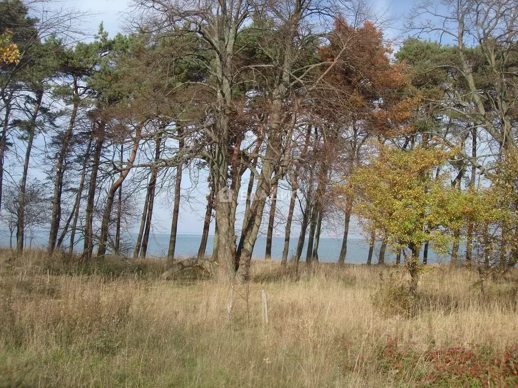 Участок в Калининградская область, Зеленоградский муниципальный округ, ... - Фото 2