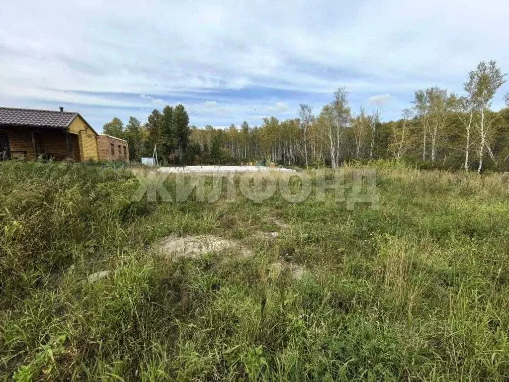 Участок в Новосибирская область, Новосибирский район, Каменский ... - Фото 1
