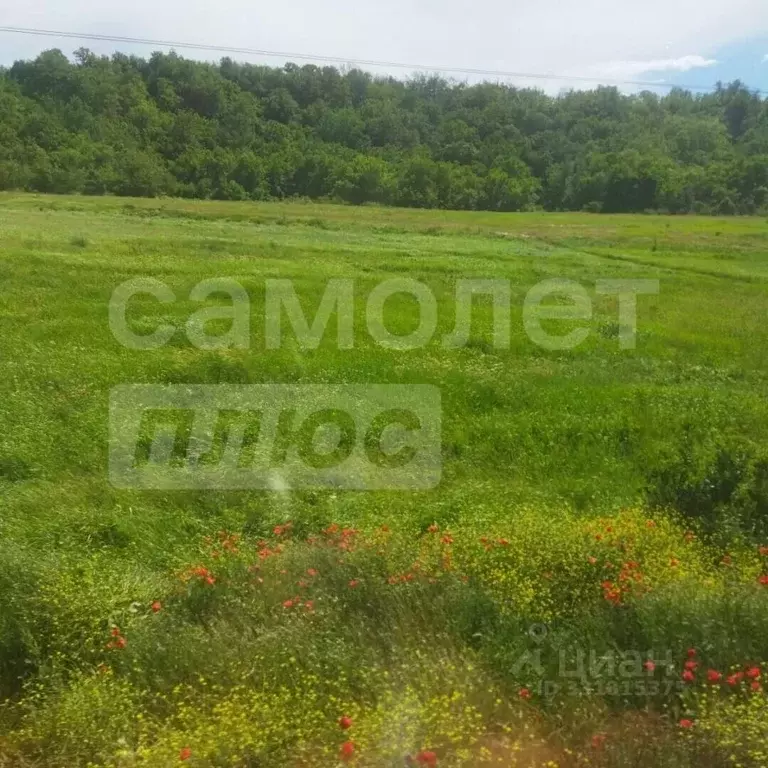 Участок в Севастополь Район Северная сторона,  (20.0 сот.) - Фото 1