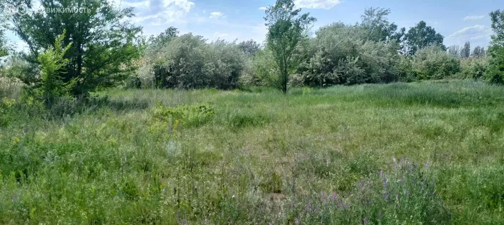 Участок в село Квасниковка, улица Дружбы, 55 (25 м) - Фото 2