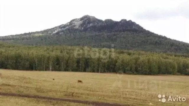 Участок в Башкортостан, Белорецкий район, Азикеевский сельсовет, д. ... - Фото 1