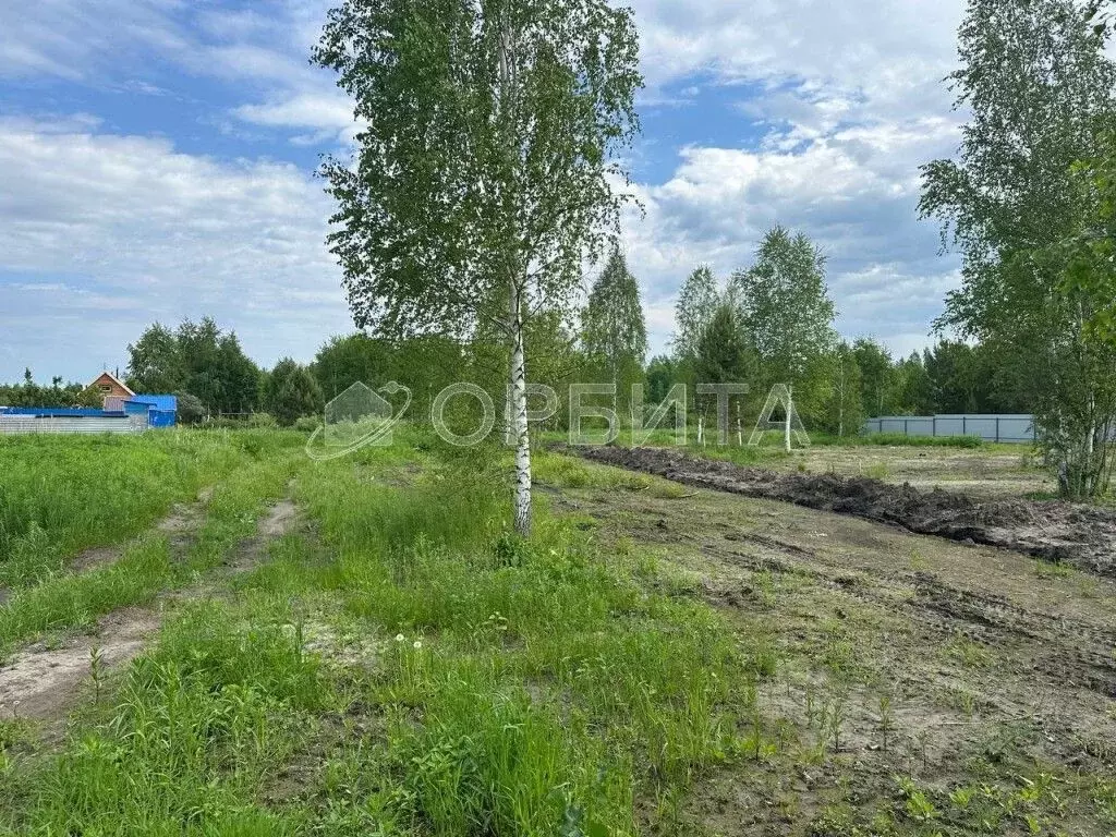 Участок в Тюменская область, Тюмень Россиянка садовое товарищество,  ... - Фото 0