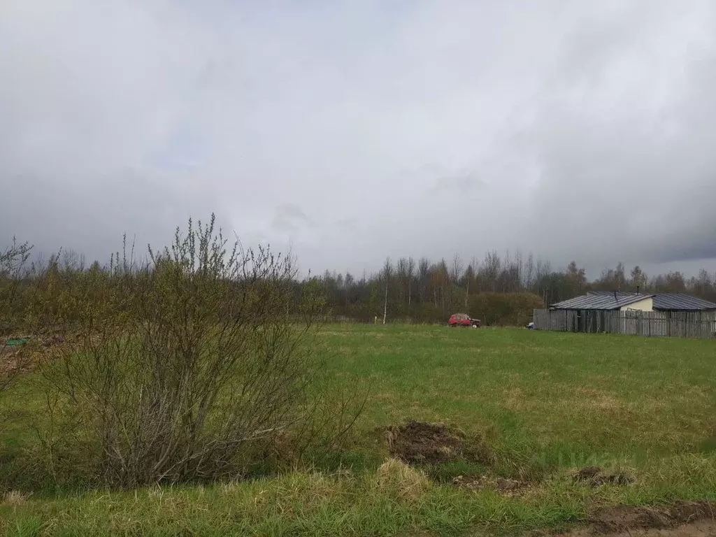 Участок в Ленинградская область, Гатчинский район, д. Руссолово ул. ... - Фото 1