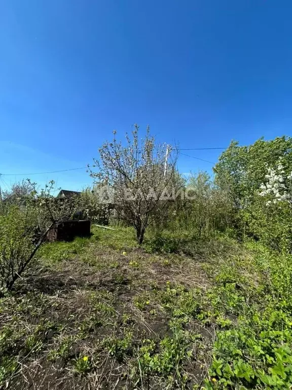 Участок в Башкортостан, Стерлитамак Ольховка СНТ, 182 (7.0 сот.) - Фото 1