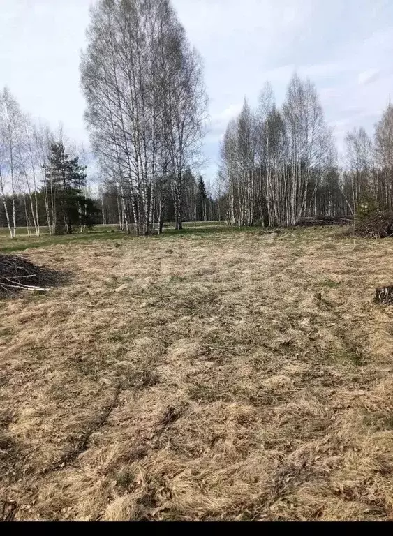 Участок в Костромская область, Судиславский муниципальный округ, д. ... - Фото 1