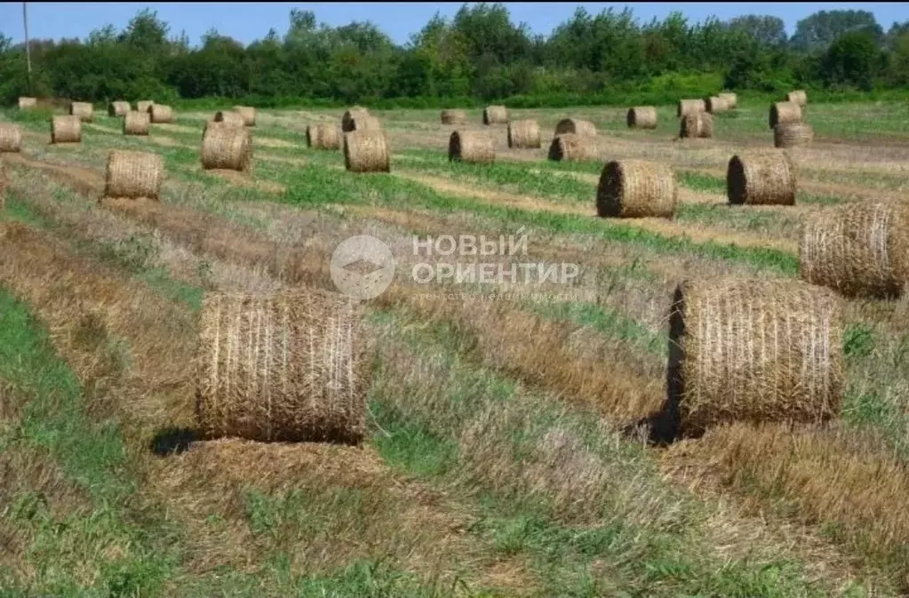 Участок в Свердловская область, Дегтярск  (100.0 сот.) - Фото 1