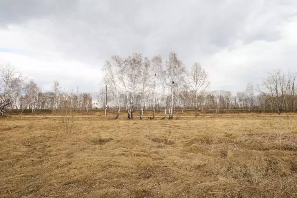 Участок в Иркутская область, Усолье-Сибирское Зеленый Городок мкр,  ... - Фото 1