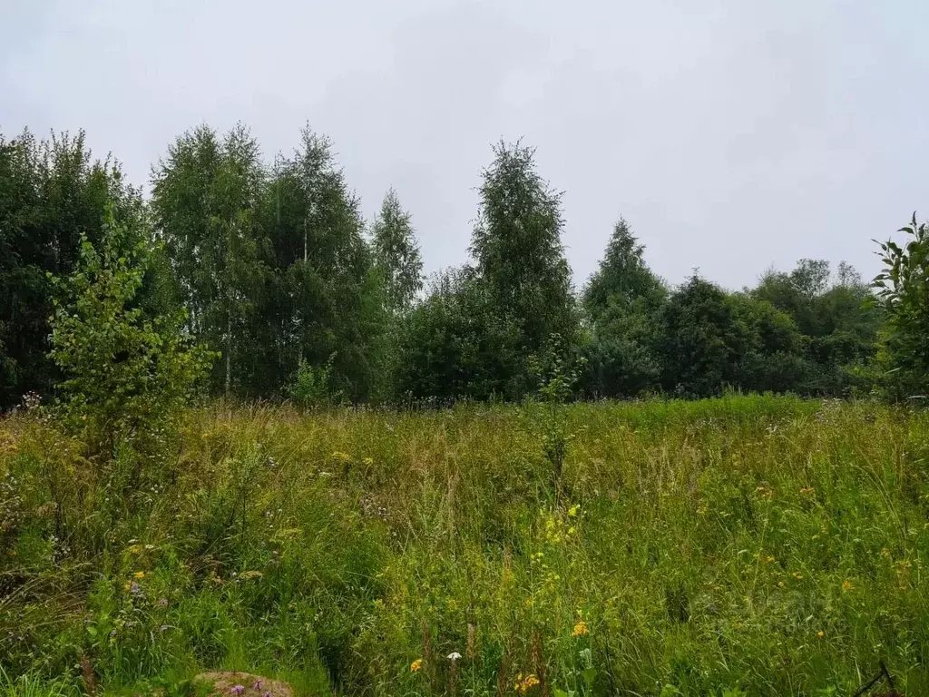 Участок в Московская область, Талдомский городской округ, д. Бардуково ... - Фото 1