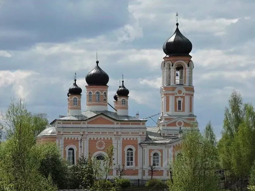 Участок в Новгородская область, Крестцы рп ул. Чапчахова, 71 (14.0 ... - Фото 1