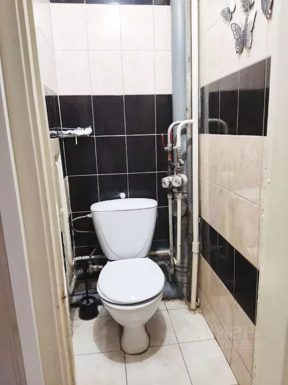 1-к кв. Красноярский край, Красноярск ул. Молокова, 68 (40.0 м) - Фото 1