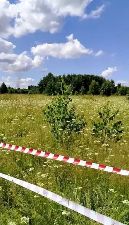 Участок в Новосибирская область, Новосибирский район, Каменский ... - Фото 1