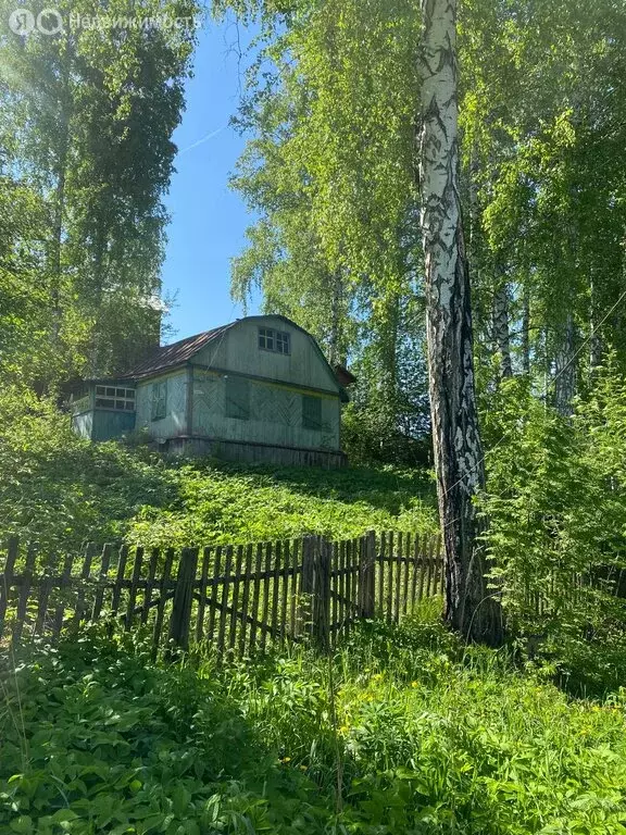 Участок в Раздольненский сельсовет, СНТ Космос, Цветочная улица (6 м) - Фото 1