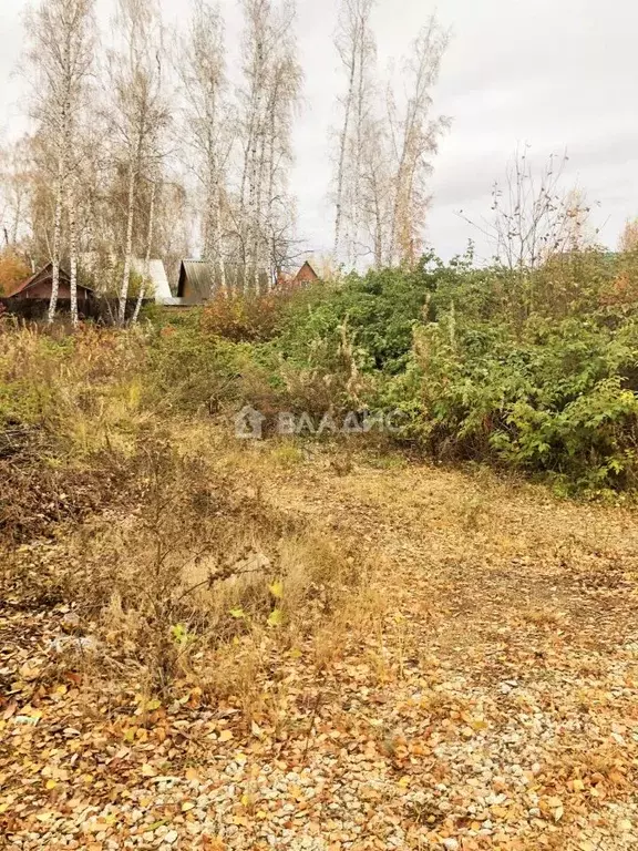 Участок в Челябинская область, Сосновский район, д. Шимаковка  (15.0 ... - Фото 1