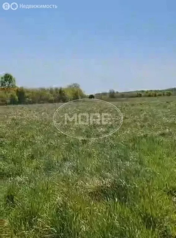 Участок в Луговое, Российская улица, 14 (62 м) - Фото 2