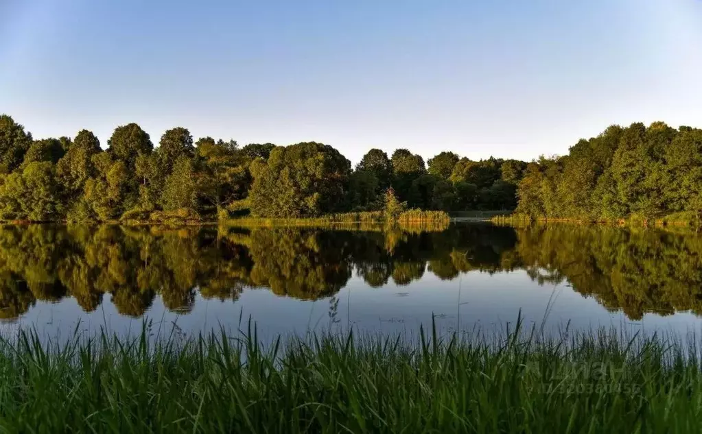 Дом в Смоленская область, Краснинский муниципальный округ, д. Малеево ... - Фото 2