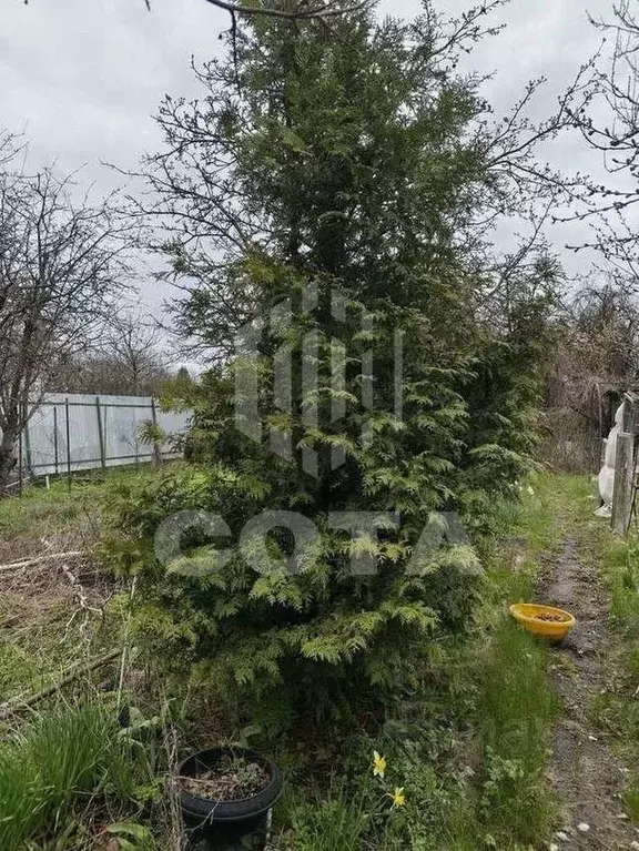 Дом в Воронежская область, Воронеж Радист СНТ,  (27 м) - Фото 1