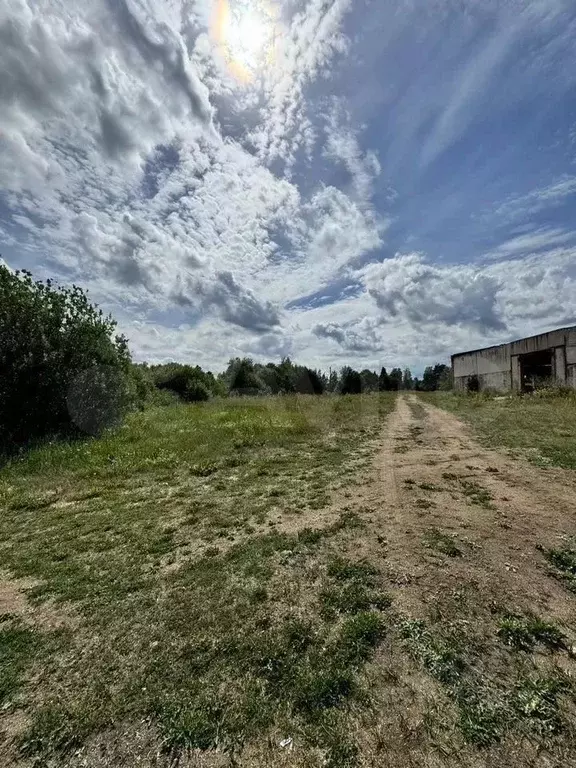 Участок в Ленинградская область, Волховский район, Иссадское с/пос, д. ... - Фото 2