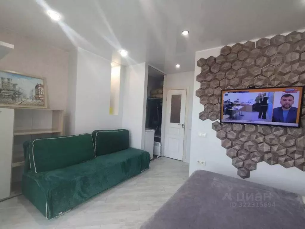 1-к кв. Краснодарский край, Сочи Виноградная ул., 4 (33.0 м) - Фото 2