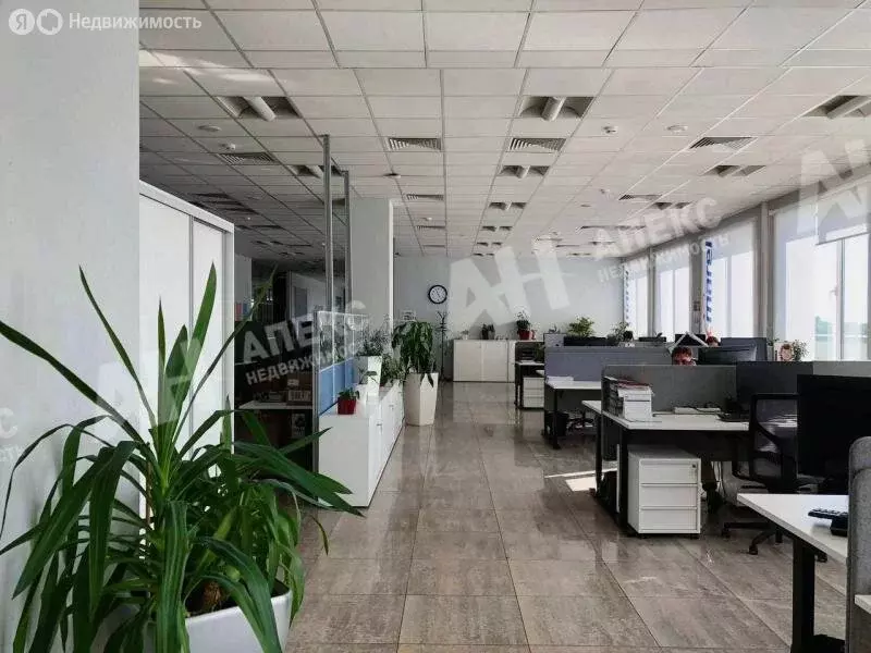 Офис (224 м) - Фото 2