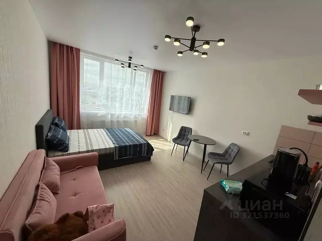 Студия Свердловская область, Екатеринбург ул. Фрунзе, 31/2 (25.0 м) - Фото 2