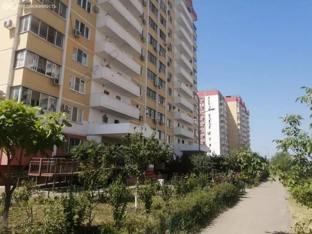 Помещение свободного назначения (19.5 м) - Фото 1