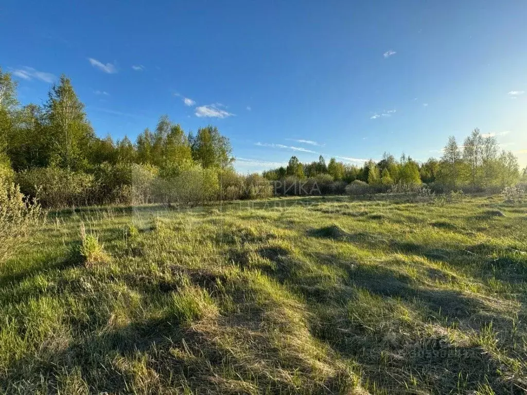 участок в тюменская область, тюменский район, с. борки (11.7 сот.) - Фото 0