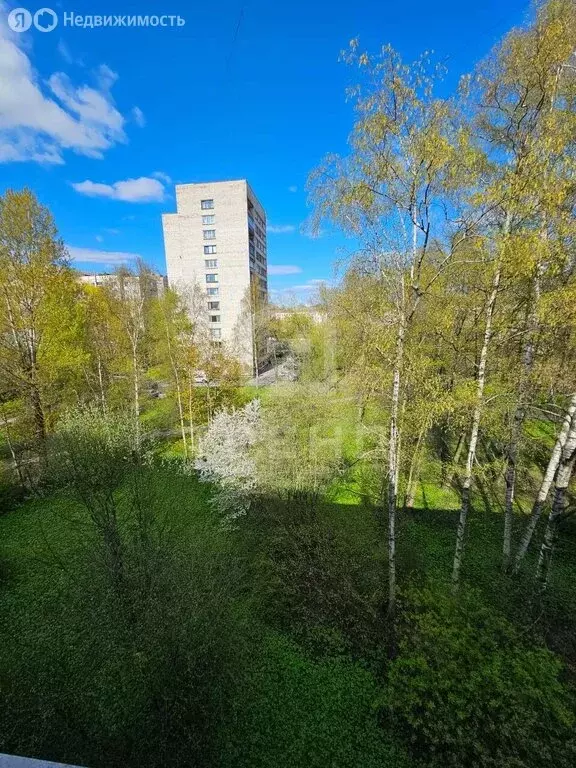 1-комнатная квартира: Санкт-Петербург, Варшавская улица, 69 (30.6 м) - Фото 1