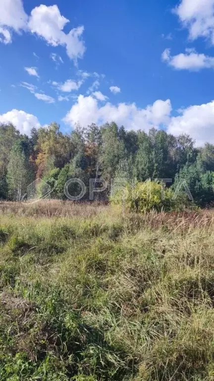 Участок в Тюменская область, Тюменский район, д. Елань 14 (8.14 сот.) - Фото 1