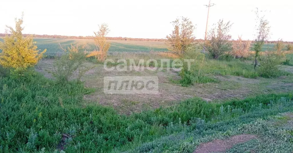 Участок в Саратовская область, муниципальное образование Энгельс, СНТ ... - Фото 2