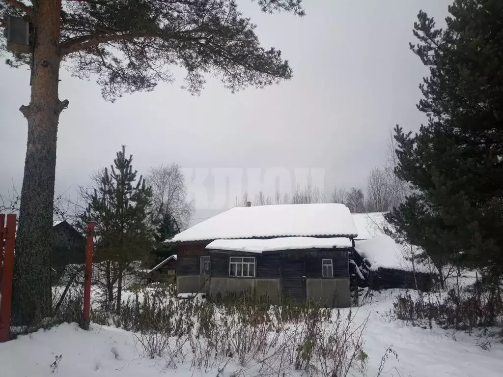 Дом в Вологодская область, Сокольский муниципальный округ, д. Гуриево ... - Фото 2