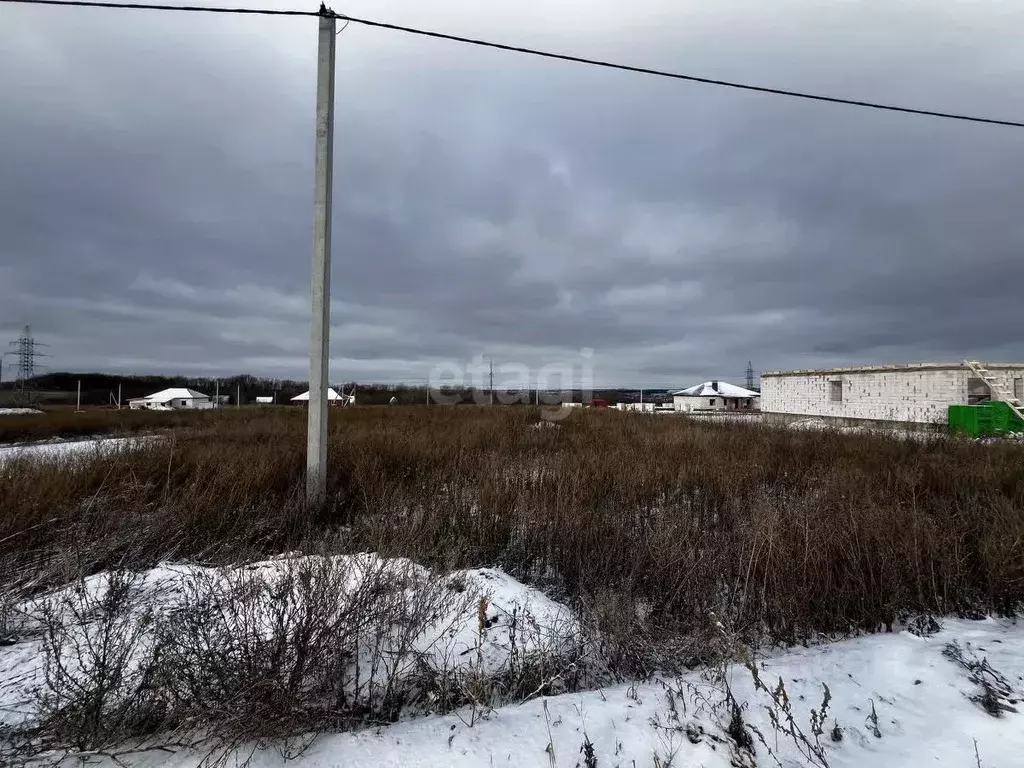 Участок в Белгородская область, Белгородский район, с. Стрелецкое ул. ... - Фото 0