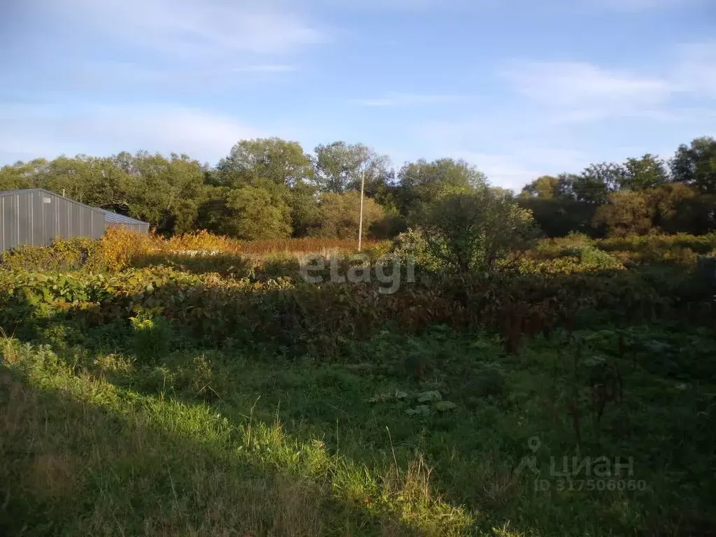 Участок в Сахалинская область, Южно-Сахалинск городской округ, с. ... - Фото 0