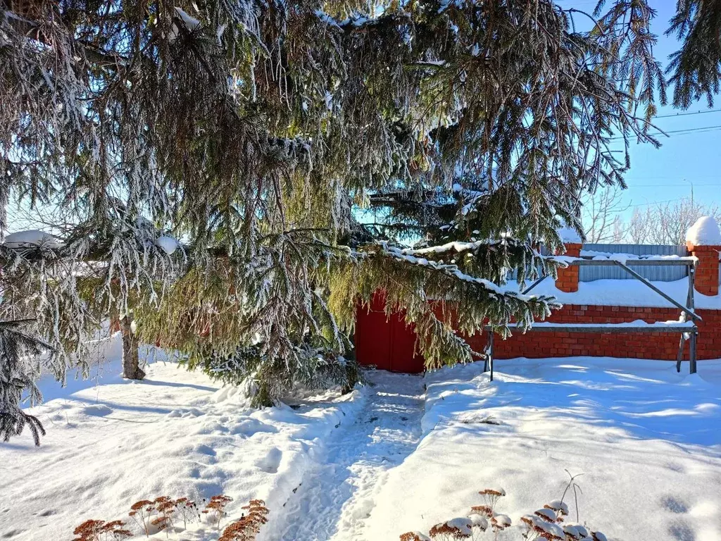 Дом в Саратовская область, Татищевский район, Идолгское муниципальное ... - Фото 2