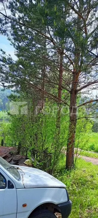 Участок 7 сот. (СНТ, ДНП) - Фото 1