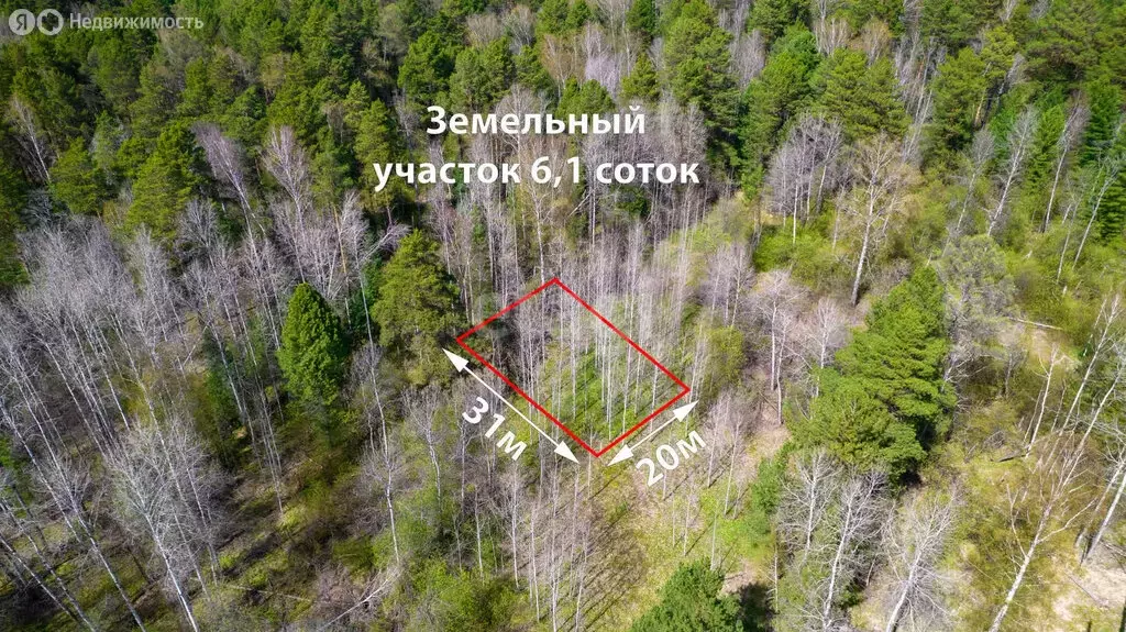 Участок в Томский район, СТ Полянка (6.1 м) - Фото 0